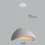 2X Creative Personalized Chandelier 40CM Indoor Ceiling Light E27 Retro Pendant Light Modern Grey Pendant Lights 5