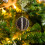 Christmas Tree Ornament Black Irregular Ball Pendant 12pcs 5