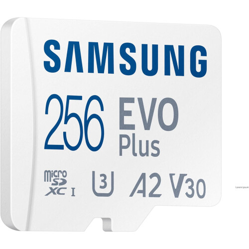 Samsung Samsung EVO Plus MicroSD 256GB 160MB/s with Adapter EU Version 2