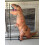 Disfraz inflable de dinosaurio para adulto 3