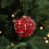 Teal sequin Christmas tree ornament 80mm foam with pearls 6