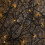 Premier 10m Solar Powered Outdoor Garden String Lights with 100 Warm White LEDs 2