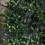 Premier 10m Solar Powered Outdoor Garden String Lights with 100 Warm White LEDs 4