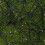 Premier 10m Solar Powered Outdoor Garden String Lights with 100 Warm White LEDs 10