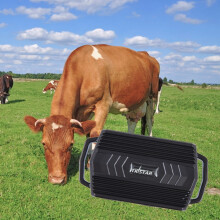 Localizador GPS Tkstar Tk935 de 3000 mAh para mascotas, ganado y automóviles, resistente al agua IP65 (Color: Negro) Regalos: TK935