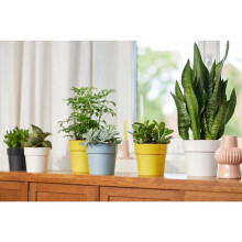 B.FOR ORIGINAL ROUND 16CM WHITE Flowerpot - 2L, Recycled Plastic, Wind-Energy Made, Indoor Plant Pot (9.2615E+12)