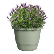 Blumentopf - AMIGA - Kunststoff - Grün - Rund - Ø24,5xH18cm - 100% recycelbar - ELHO