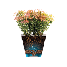 ELHO Pot de fleurs rond avec roues Loft Urban - Ø 38.5 x 35,3 cm - Blanc