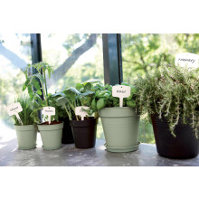 Round 17cm Stone Green Plant Pot Saucer for Indoor and Outdoor Use