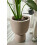 Smart Plant Sensor Earthy Brown with App Control for Water Light and Temperature 1