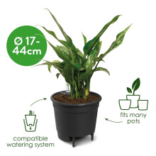Elho Self Watering Insert for 15cm to 17cm Pots Plastic Water Reservoir with Water Level Indicator for Indoor Plant Care