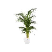 Brussels Round 22 - Flower Pot for Indoor - 100% Recycled Plastic - Ø 22.3 x H 20.6 cm - White/White