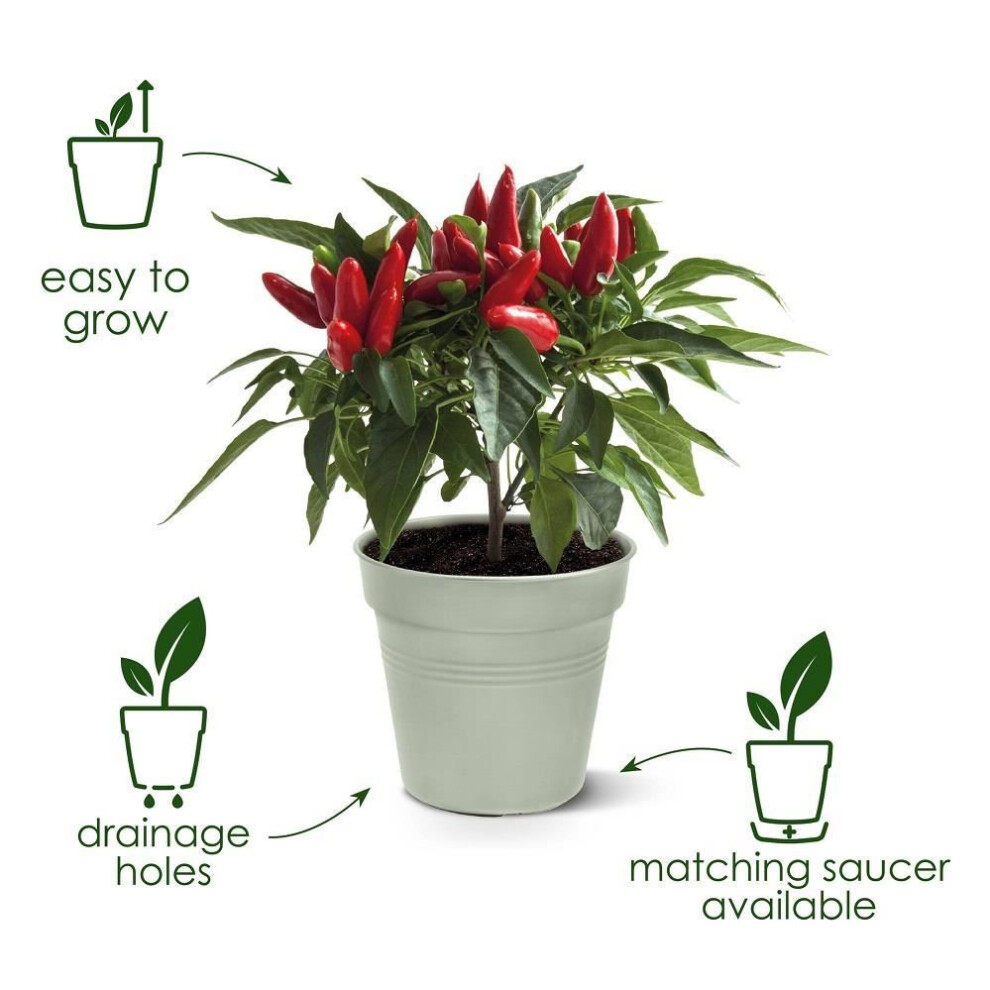 Elho Green Basics Growpot 24 - Growpot For Grow Your Own - Ø 24.0 X H 22.1 Cm - Black/Living Black