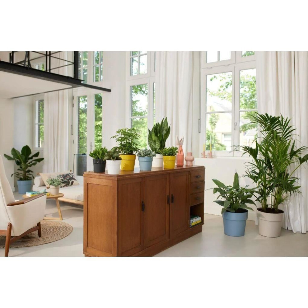 Elho B.for Original Round 14 - Flowerpot For Indoor - Ø 13.7 X H 12.5 Cm - White