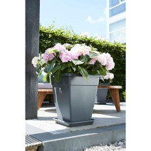 Universal Saucer Square 25cm Anthracite Plastic Indoor Water Drainage Recyclable