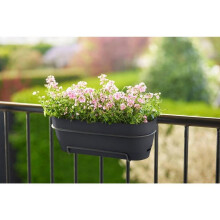 Vibia Campana Trough 50cm Anthracite Eco-Friendly Planter with Water Reservoir