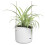 B.FOR SWING 18CM WHITE 4