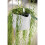 B.FOR SWING 18CM WHITE 5