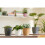 (White) Elho Brussels Round 30 - Flowerpot 5