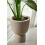 Smart Plant Sensor Earthy Brown with App Control for Water Light and Temperature 6