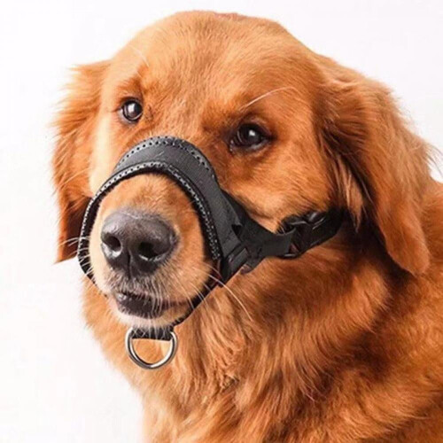 Dog Muzzle Adjustable for Small and Large Breeds 1