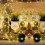 YiFudd curtain string lights 100 LED 8 modes 6
