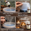 Eucalyptus Diffuser Oil 10ml Fresh Spa Fragrance Oil for Home Diffusers UK 5