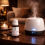 Eucalyptus Diffuser Oil 10ml Fresh Spa Fragrance Oil for Home Diffusers UK 10