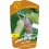 Morwa biała Alba 2L 16