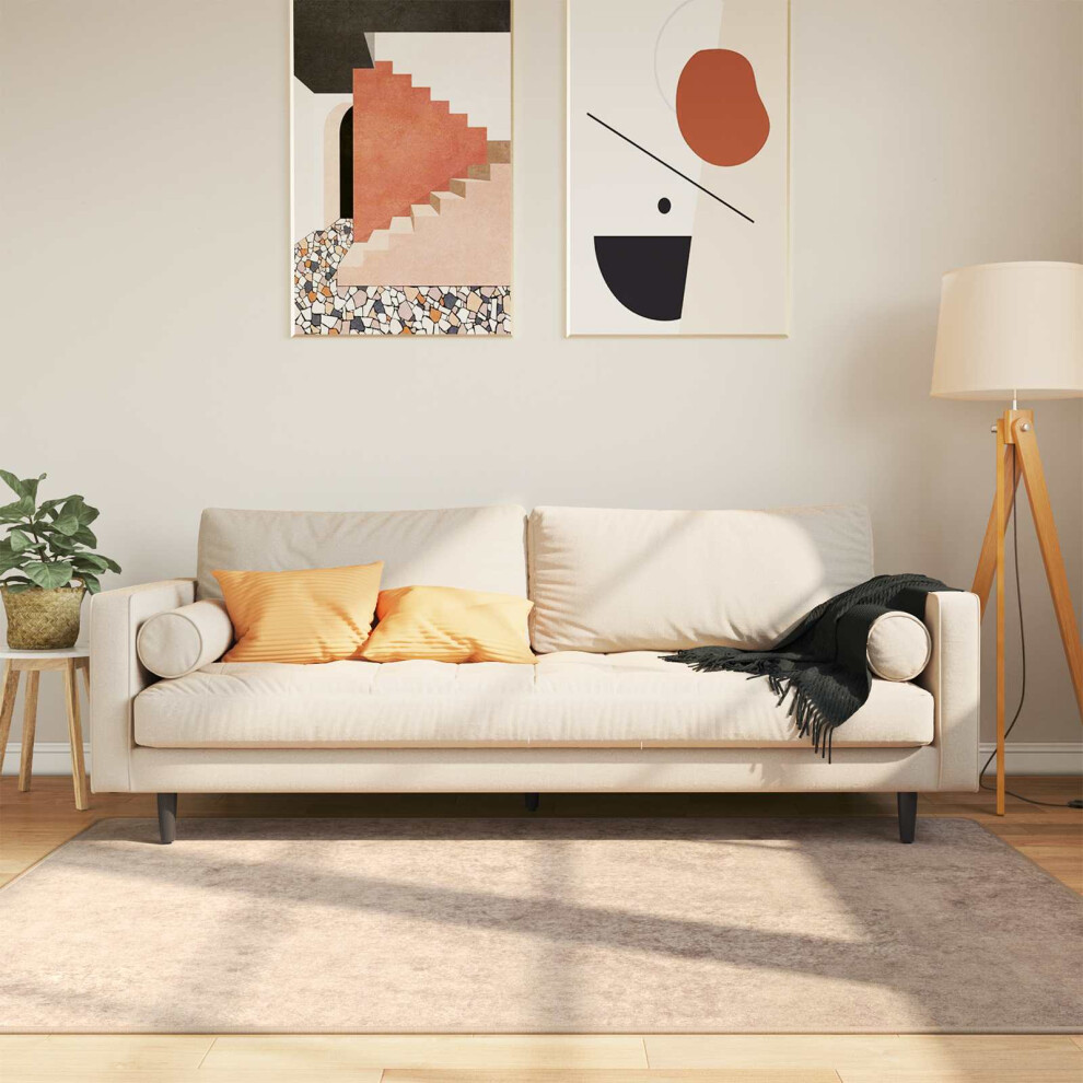 Vidaxl Rug Runner Marsa Beige 120 X 170 Cm Polyester And Pvc Cream