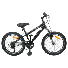 vidaXL Mountain Bike 20 Inches 6-Speed for 5-8 Years Old Black