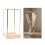 (M) Glass Display Case Decorative Cuboid Antique Artwork Showcase 2