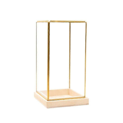 (M) Glass Display Case Decorative Cuboid Antique Artwork Showcase 2