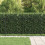 VidaXL vidaXL Ring Fence TILBURG Black 3