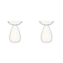 Vase Hydroponique Transparent pour Avocat, Station de Propagation de Plantes, Vase en Verre pour Avocatier, Jardinière de Culture, 2 Pièce