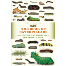 Book of Caterpillars Hardcover Book