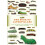 Book of Caterpillars Hardcover Book 1