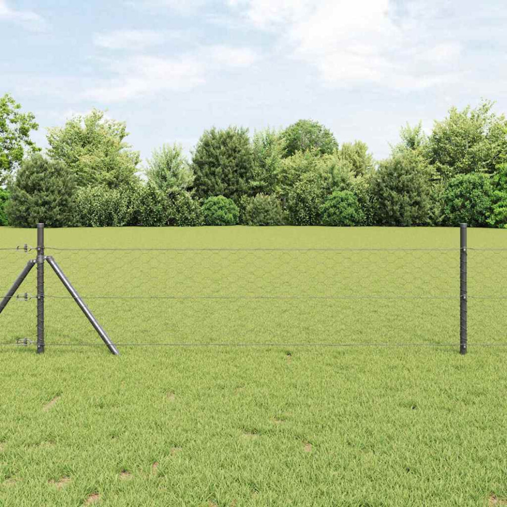 Vidaxl Ground Fix Welded Wire Fence 10 X 0.4 M (W X H)