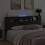 VidaXL vidaXL Storage Headboard with LED Black Oak Engineered Wood 4