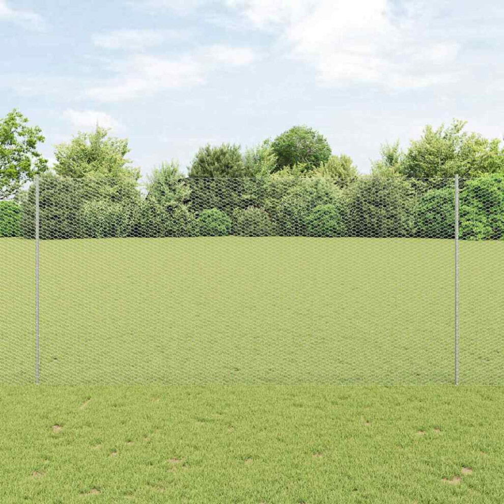 Vidaxl Welded Wire Fence 25 X 1.6 M (W X H) Hot-Dip Galvanised Steel