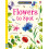 Flowers to Spot (Usborne Minis) 1