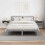 VidaXL vidaXL Bedside Table 2 pcs Concrete Grey 40 x 31 x 15 cm 3