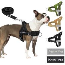 Eyein No Pull Harness for Dogs, Pet Vest and Lead Set with Front Clip