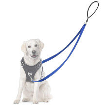 Adiwo Two Point Control Dog Leash, Professional Anti-Pull Dog Lead with Reflective Stitching and Soft Padded, Works with No Pull Harnesses, Easy to C