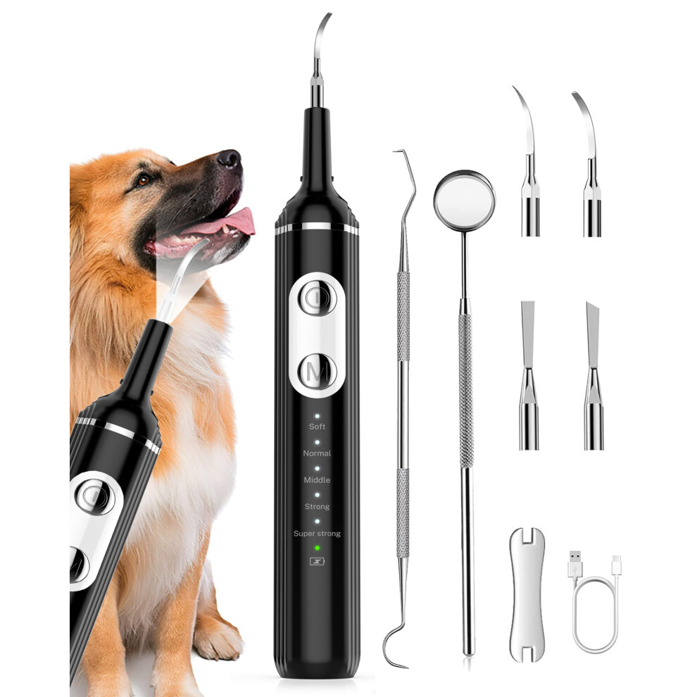 Wagner Stern Dog Plaque Remover For Teeth, Dog Teeth Cleaning Toothbrush With 5 Modes & Led Light For Teeth Cleaning Plaque Removal, Tartar Remover W