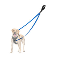 PetBonus Two Point Control Dog Lead, Works with No Pull Harnesses, No Tangle Training Leads, Soft Padded and Reflective Walking Lead, Converts to Sin