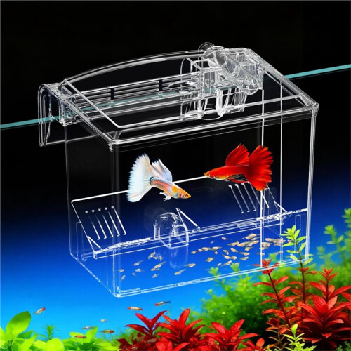 Boîte D'Élevage Transparente pour Alevins de Crevettes T4MC 1