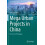 Mega Urban Projects in China by Yanpeng Jiang Paperback Book 1