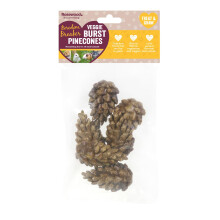 Rosewood Veggie Burst Pinecones - Treat and Gnaw, Made with Natural Grasses and