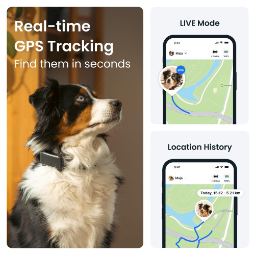 Tractive Smart Dog Tracker | 2025 Edition | Real-time GPS Tracking | Escape & He 1
